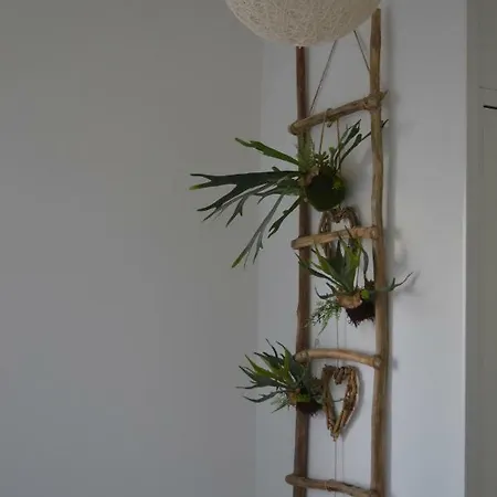 't Huis Nr. 4 * Zandvoort